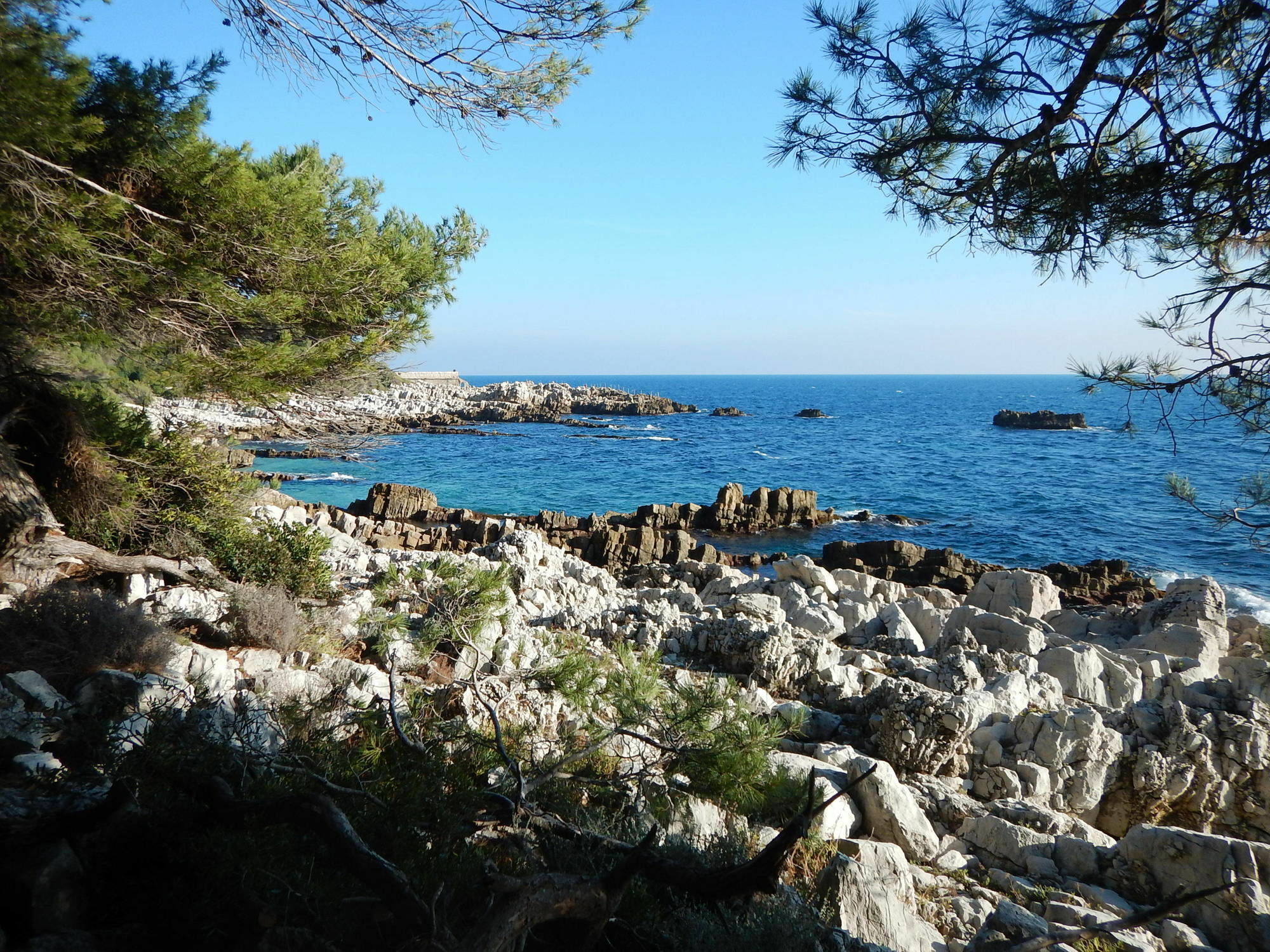 Hotel Miramar- Cap D'Antibes - La Garoupe Plage Juan-les-Pins Eksteriør bilde