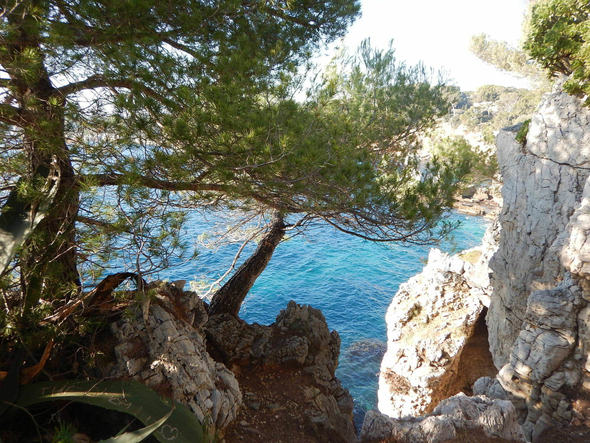 Hotel Miramar- Cap D'Antibes - La Garoupe Plage Eksteriør bilde